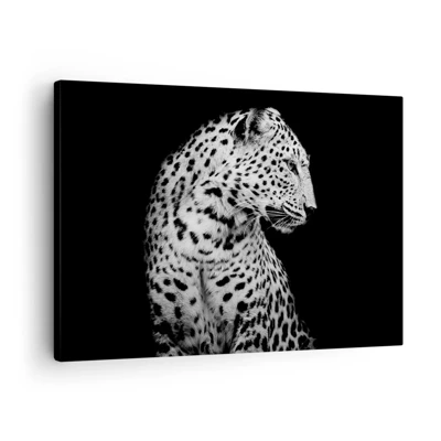 Canvas picture - A Perfect Right Profile  - 70x50 cm