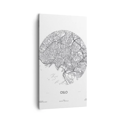 Canvas picture - Anatomy of Oslo - 45x80 cm