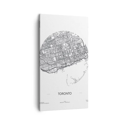 Canvas picture - Anatomy of Toronto - 45x80 cm