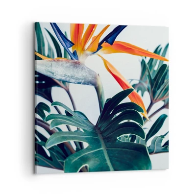 Canvas picture - Birdy Bush - 60x60 cm