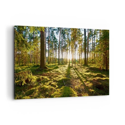 Canvas picture - Deep in the Forest - 120x80 cm