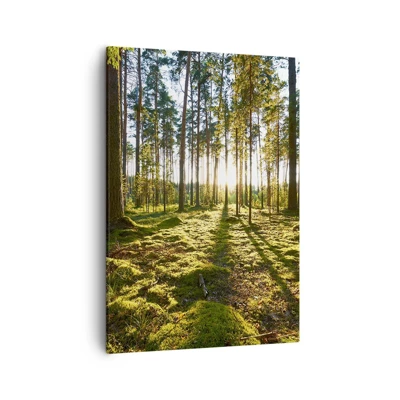 Canvas picture - Deep in the Forest - 50x70 cm