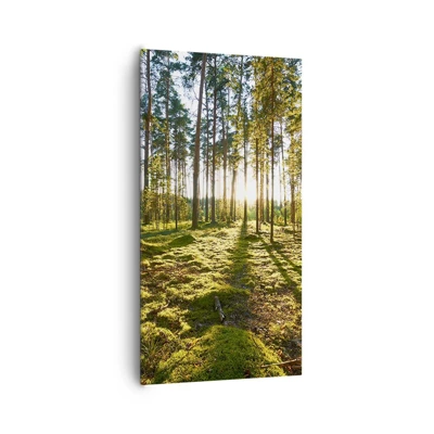 Canvas picture - Deep in the Forest - 65x120 cm