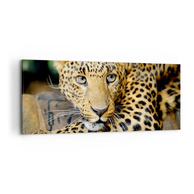 Canvas picture - Don't be Shy, Come Closer - 120x50 cm