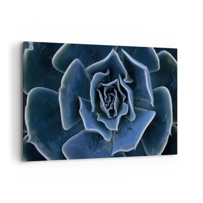 Canvas picture - Flower of the Desert - 100x70 cm