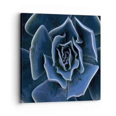 Canvas picture - Flower of the Desert - 30x30 cm