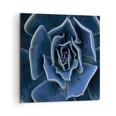 Canvas picture - Flower of the Desert - 50x50 cm