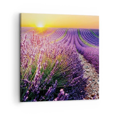 Canvas picture - Fragrant Field - 60x60 cm