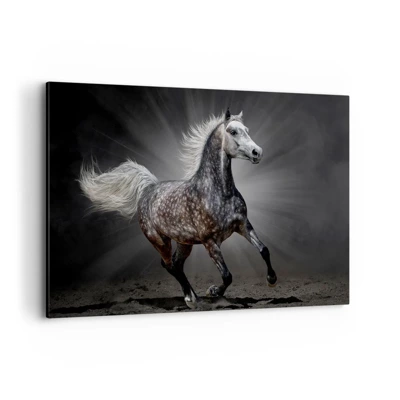 Canvas picture - Grey Is Beautiful - 120x80 cm