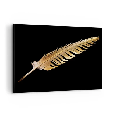 Canvas picture - High-Class Feather - 100x70 cm