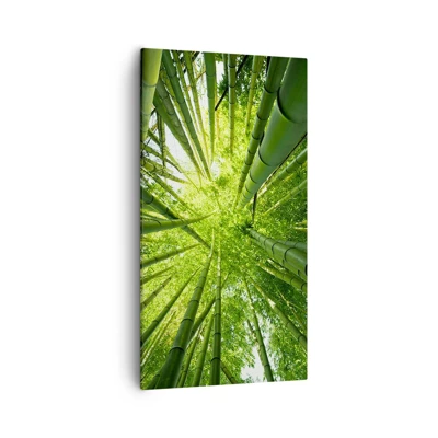 Canvas picture - In a Bamboo Forest - 55x100 cm