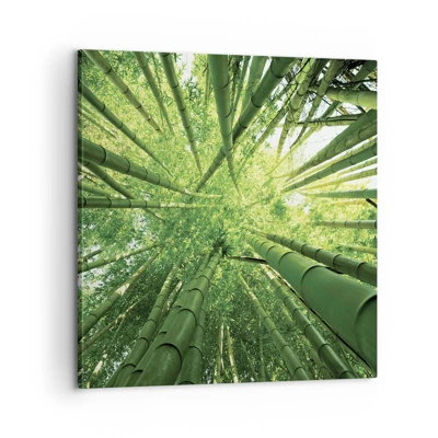 Canvas picture - In a Bamboo Forest - 60x60 cm