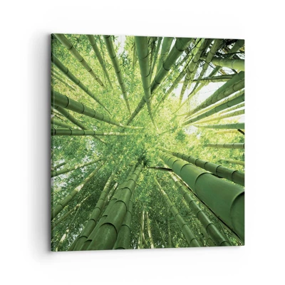 Canvas picture - In a Bamboo Forest - 70x70 cm