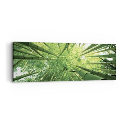 Canvas picture - In a Bamboo Forest - 90x30 cm