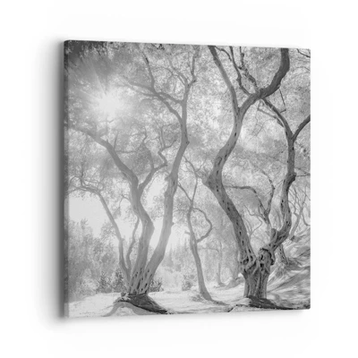 Canvas picture - In an Olive Grove - 40x40 cm