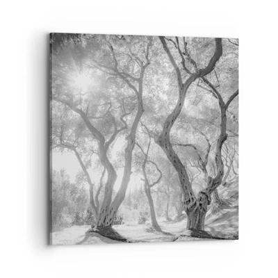 Canvas picture - In an Olive Grove - 70x70 cm