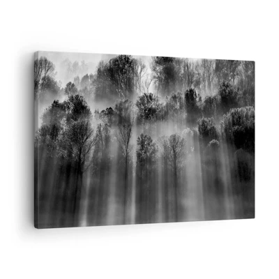 Canvas picture - In the Streams of Light - 70x50 cm