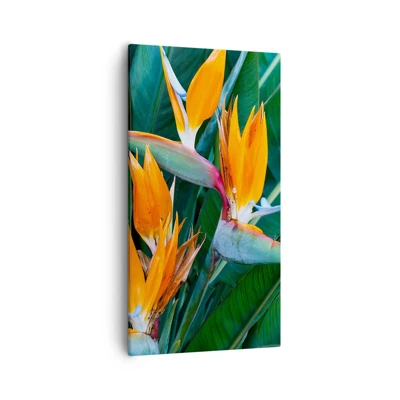 Canvas picture - Is It a Flower or a Bird? - 55x100 cm