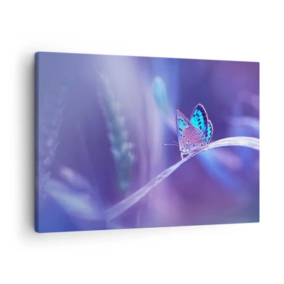 Canvas picture - Jewel of Nature - 70x50 cm