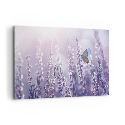 Canvas picture - Kiss of a Butterfly - 120x80 cm