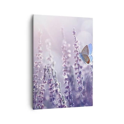 Canvas picture - Kiss of a Butterfly - 50x70 cm