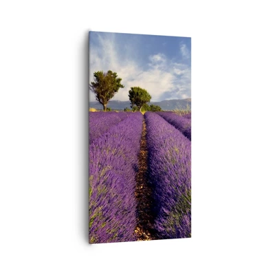 Canvas picture - Lavender Fields - 65x120 cm