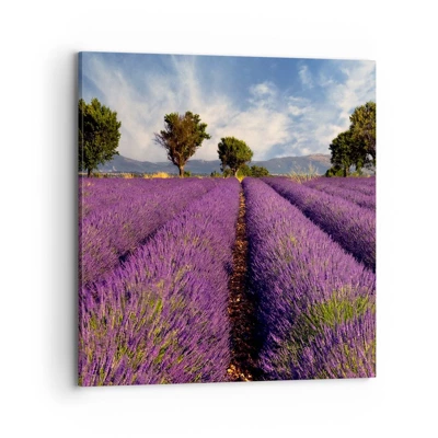 Canvas picture - Lavender Fields - 70x70 cm