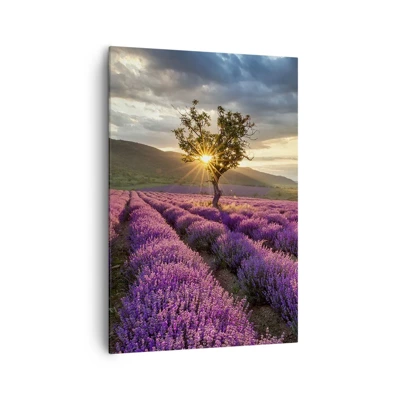 Canvas picture - Lilac Coloured Aroma - 70x100 cm