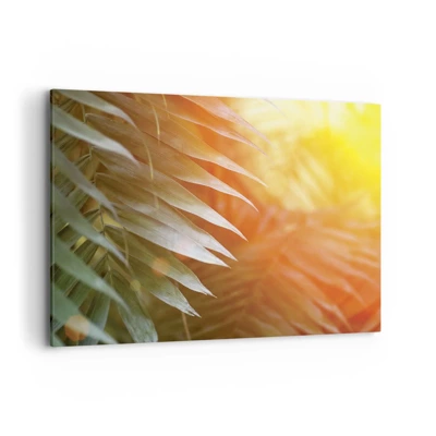 Canvas picture - Morning in the Jungle - 100x70 cm
