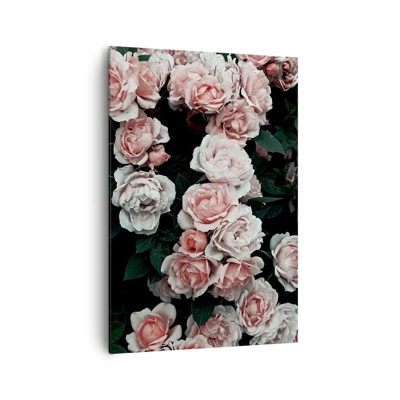 Canvas picture - Rose Ensemble - 70x100 cm