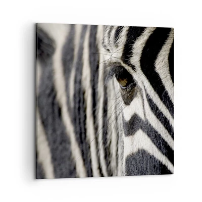 Canvas picture - Striped Portrait - 50x50 cm