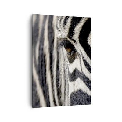 Canvas picture - Striped Portrait - 50x70 cm