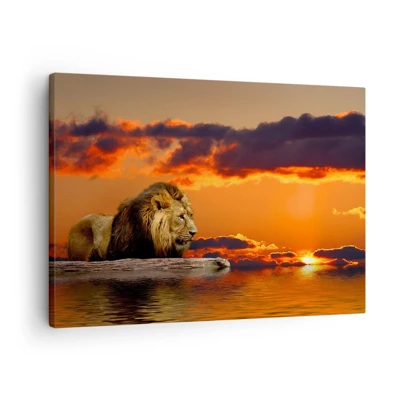 Canvas picture - The King of Nature - 70x50 cm