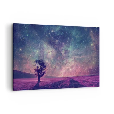 Canvas picture - Under Magical Sky - 120x80 cm