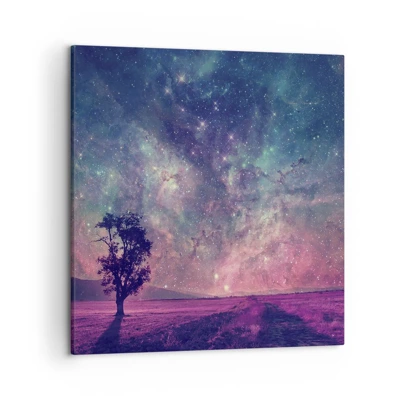 Canvas picture - Under Magical Sky - 50x50 cm