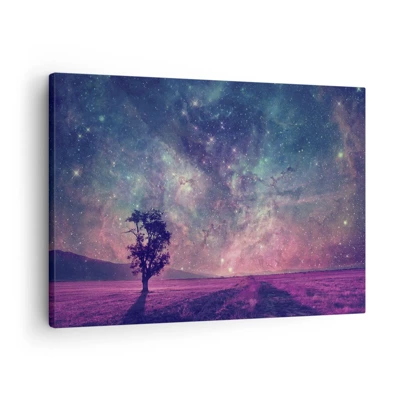 Canvas picture - Under Magical Sky - 70x50 cm