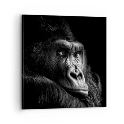 Canvas picture - What Are You Looking At? - 70x70 cm