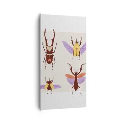 Canvas picture - World of Insects - 65x120 cm