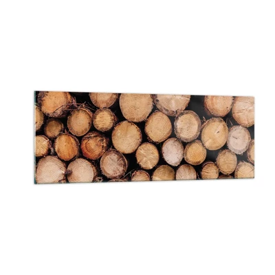 Glass picture  Arttor 140x50 cm - New Beginning - Wood, Wood Logs, Nature, Forest, Nature, For living-room, For bedroom, White, Brown, Horizontal, Glass, GAB140x50-4864
