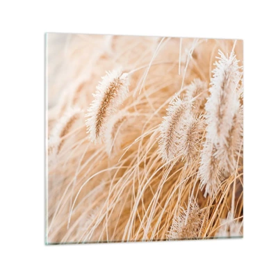 Glass picture  Arttor 50x50 cm - Golden Rustling of Grass - Pampas Grass, Meadow, Nature, Botany, Boho, For living-room, For bedroom, White, Orange, Horizontal, Glass, GAC50x50-4903