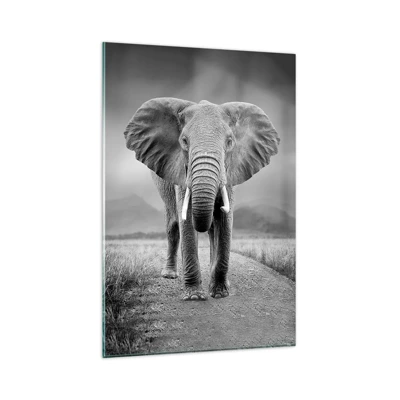 Glass picture  Arttor 80x120 cm - Welcoming of the Host - Elephant, Animals, Landscape, Nature, Africa, For living-room, For bedroom, White, Black, Vertical, Glass, GPA80x120-4966