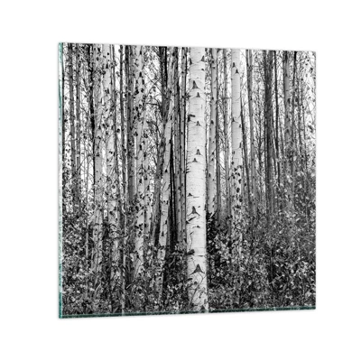 Glass picture - Birch Colonnade - 30x30 cm