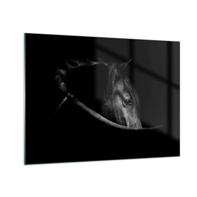 Glass picture - Black Prince - 70x50 cm