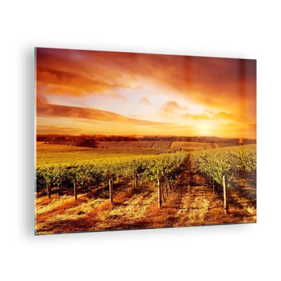 Glass picture - Delicatly Fruity with a Note of the Sun - 70x50 cm