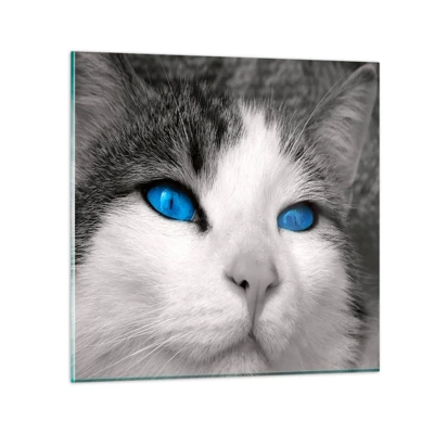 Glass picture - Extremely Blue-eyed - 40x40 cm