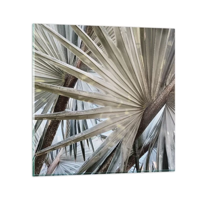 Glass picture - Fans in tropics - 40x40 cm