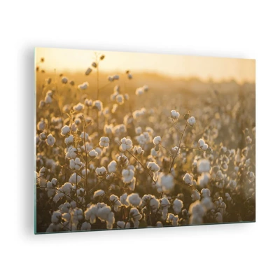 Glass picture - Fluffy Field - 70x50 cm