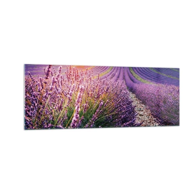 Glass picture - Fragrant Field - 140x50 cm