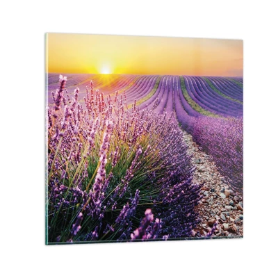 Glass picture - Fragrant Field - 40x40 cm