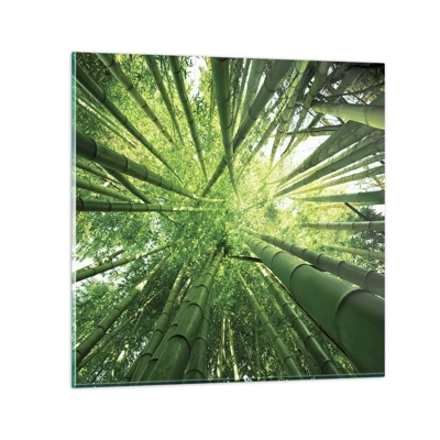 Glass picture - In a Bamboo Forest - 70x70 cm